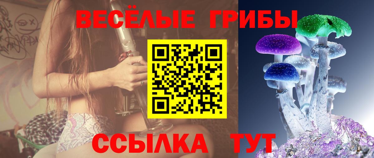 наркотики  Вход с VPN  Избербаш  Галлюциногенные грибы Cubensis 